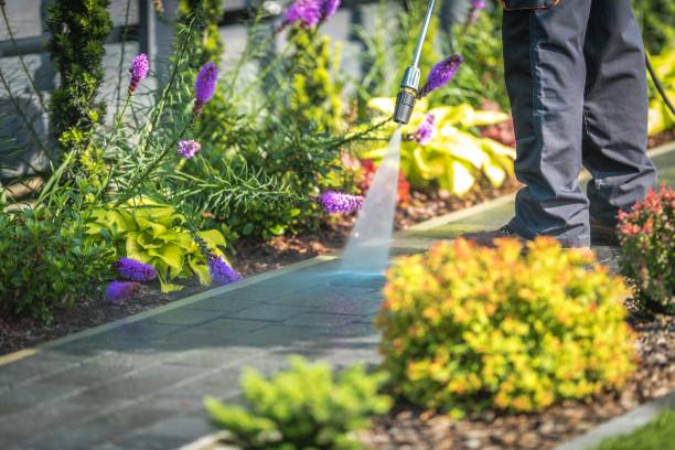 Trusted Noel, MO Pressure Washing Services Experts