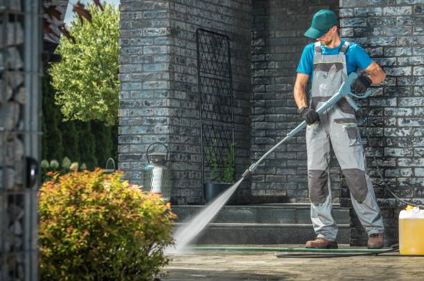 Best Sidewalk and Walkway Cleaning  in Noel, MO