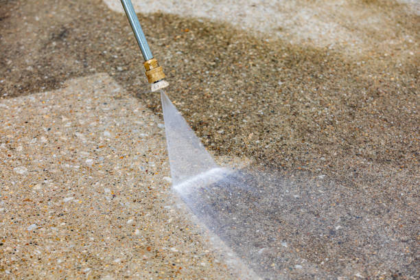 Best Animal Enclosure Cleaning  in Noel, MO
